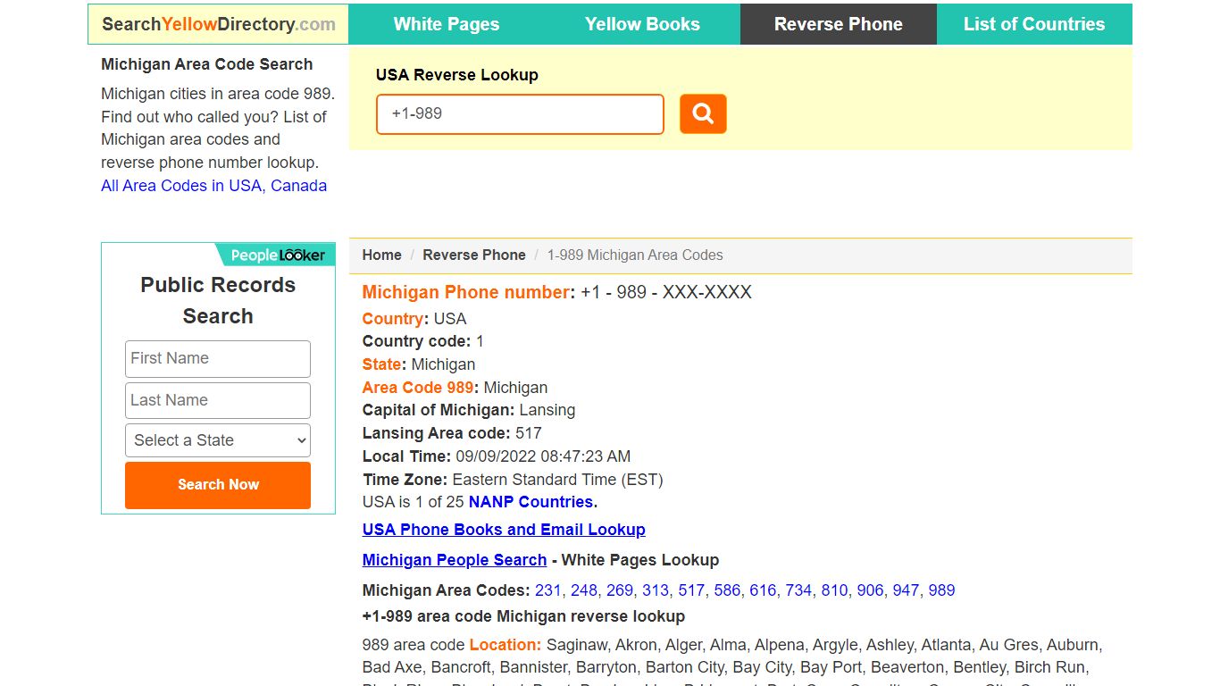 Michigan Area Code 989 Reverse Phone Number Lookup